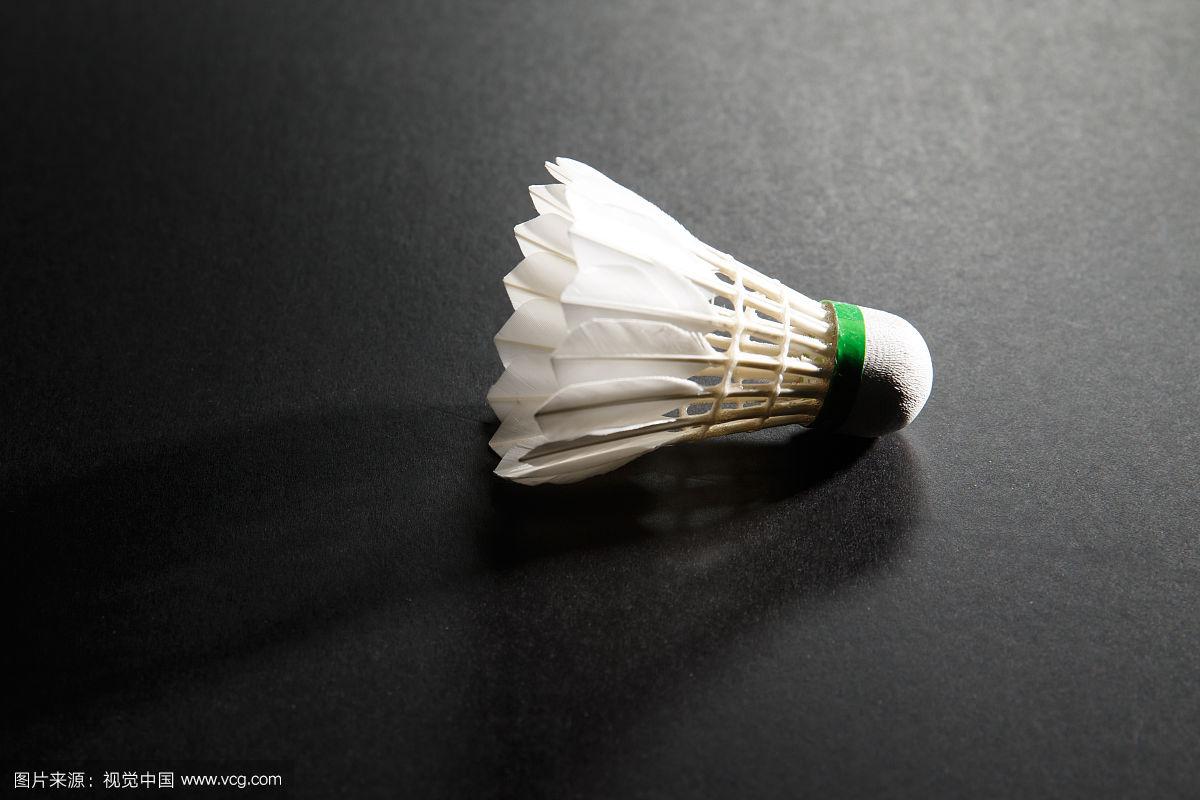 念中尤为珍 念中尤为珍