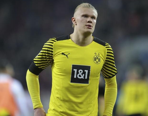 这里的最佳 这里的最佳